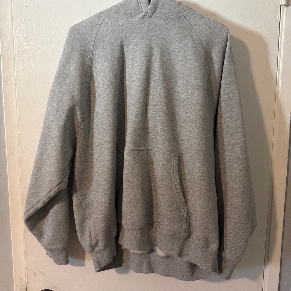 Aritzia hoodie